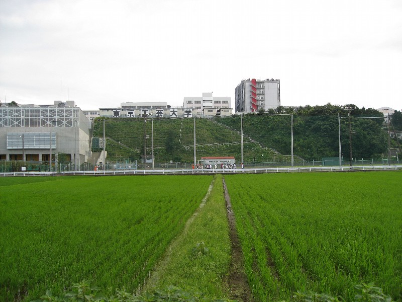 20070721avrc 012.jpg